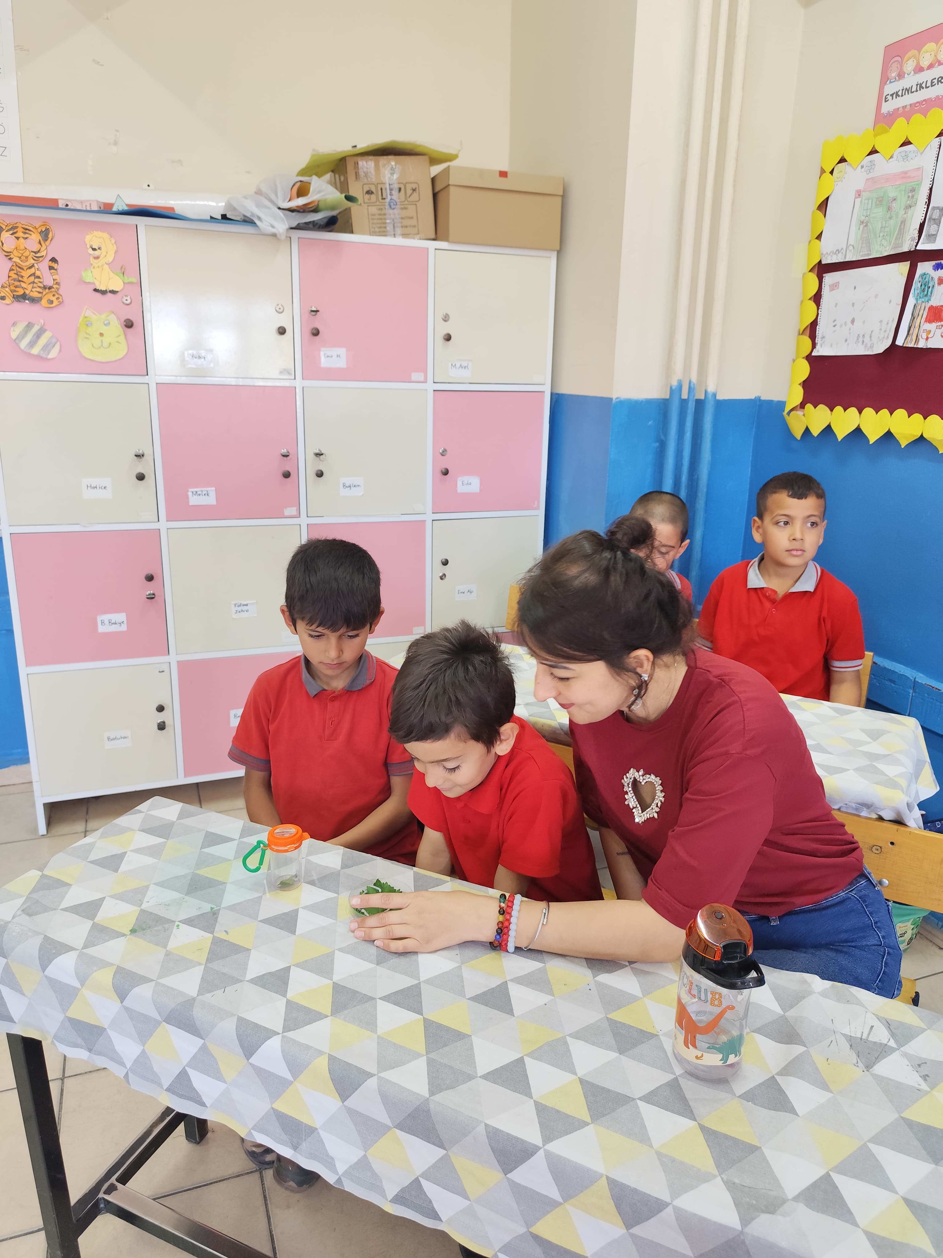 Delice'de Cumhuriyet İlkokulu'nda Böcek Tanıtım Etkinliği Gerçekleştirildi.