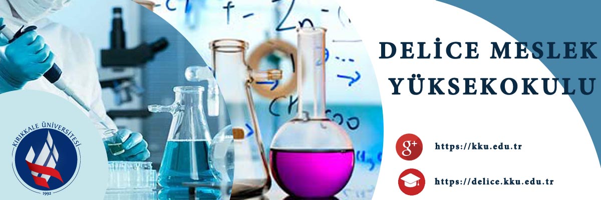 DELİCE MESLEK YÜKSEK OKULU