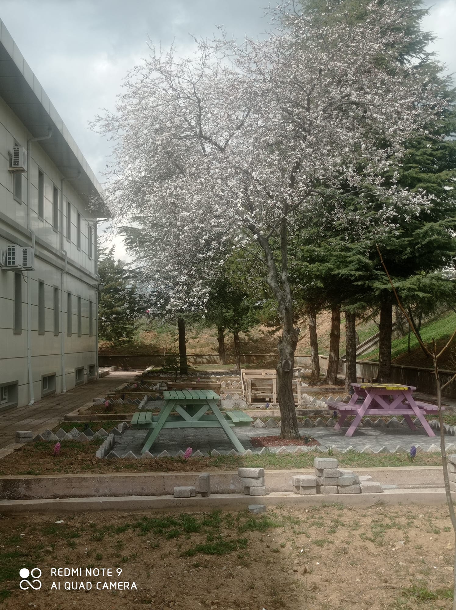 Fakültemiz peyzaj çalışmaları devam ediyor.
