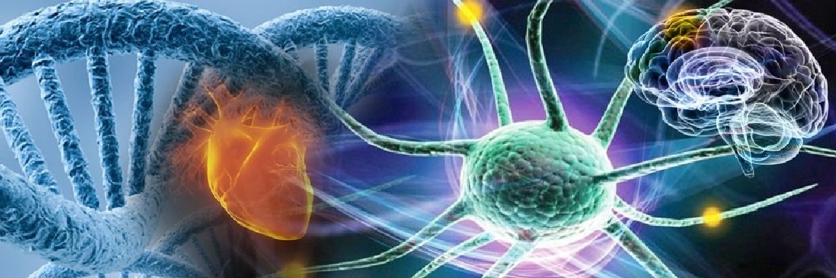 Fen Bilgisi Öğretmenliği