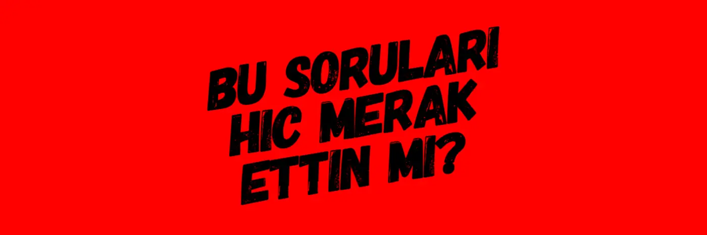 Bu soruları hiç merak ettin mi?