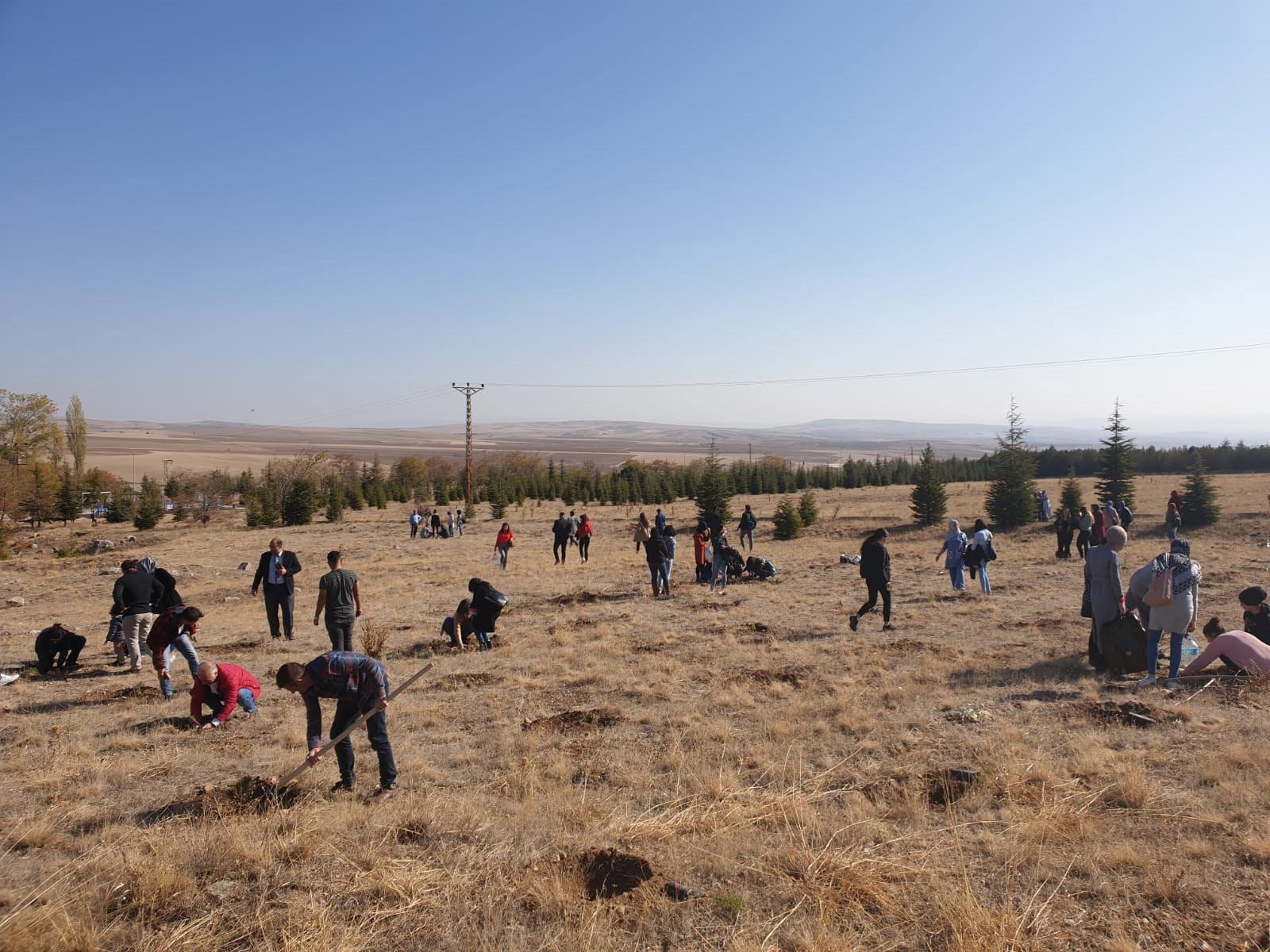 ‘Geleceğe Nefes Ol’ Fidan Dikme Kampanyası Gerçekleştirildi