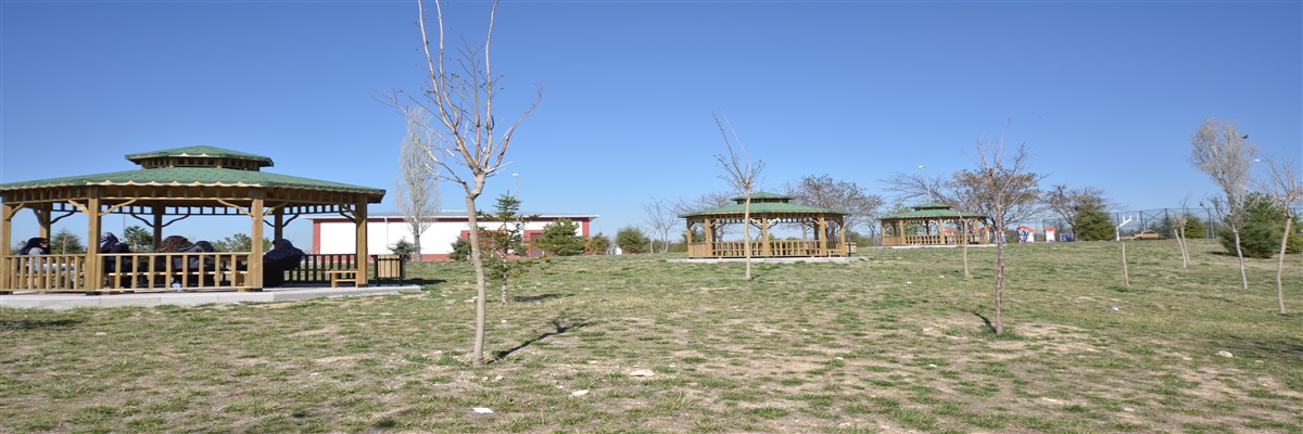 Prof. Dr. Fuat Sezgin Sağlık Yerleşkesi