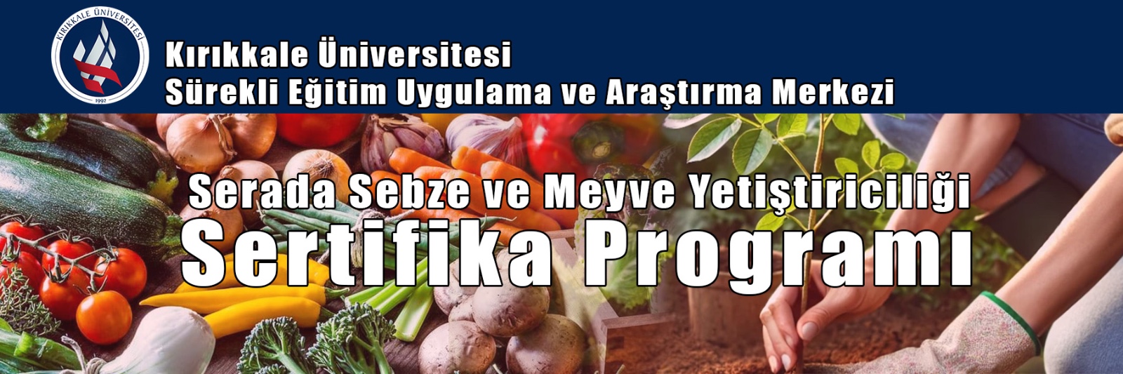 Başvuru İçin Tıklayınız