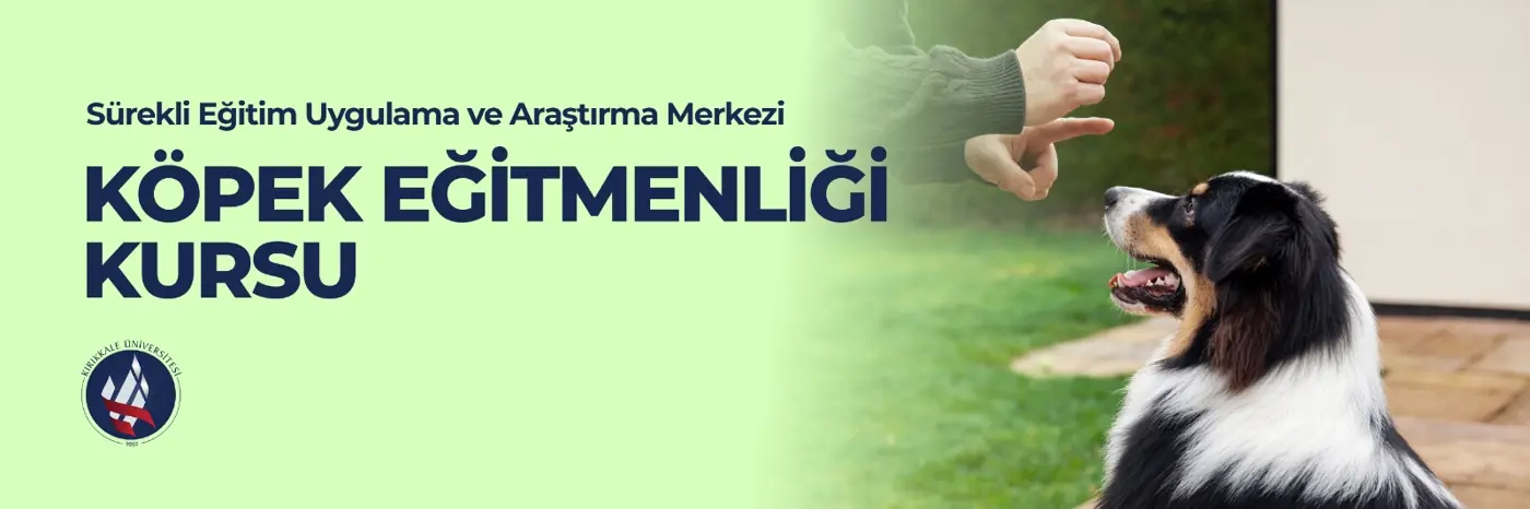 Başvuru İçin Tıklayınız