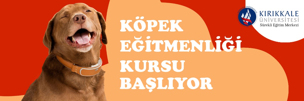 Başvuru formuna ulaşmak için tıklayınız