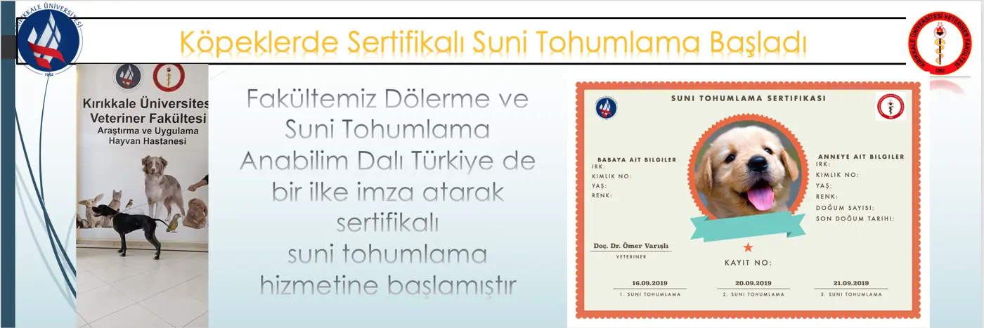 Anabilim Dalımızda Köpeklerde sertifikalı suni tohumlama başlamıştır