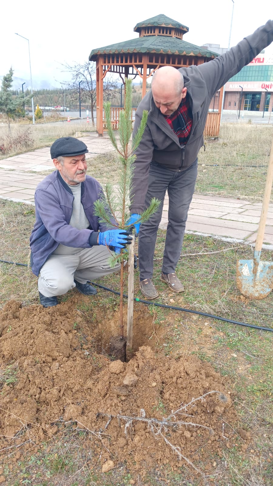 Fakültemiz Yerleşkesinde 100 Fidan Toprakla Buluştu